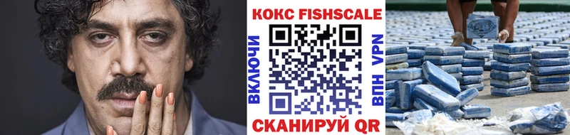 Купить  Андреаполь  Кокаин Fish Scale 