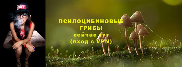 кокаин колумбия Белокуриха