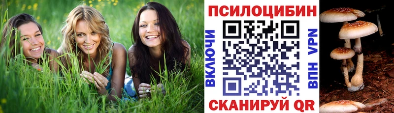 Галлюциногенные грибы мухоморы  Купить закладки  Андреаполь 